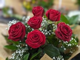 6 Luxury Red Roses